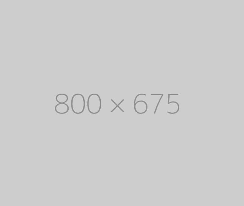 hongo 800x675-ph