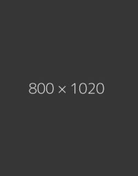 hongo 800x1020-d-ph