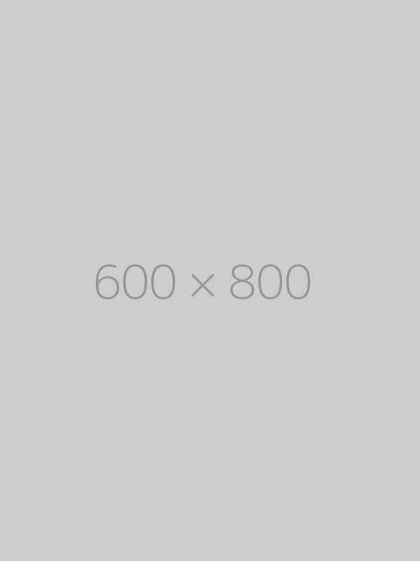hongo-600x800-ph